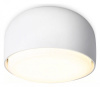Накладной светильник Ambrella Light TN TN71001