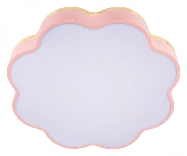 Накладной светильник Loft it Axel 10225/36 Pink