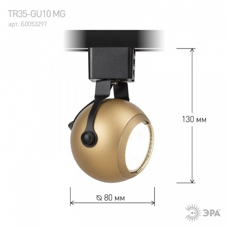 Светильник на штанге Эра TR35-GU10 MG