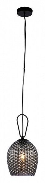 Подвесной светильник Indigo Armonia 11001/1P Black