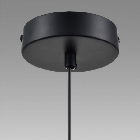 Подвесной светильник Lumion Isha 8101/1A