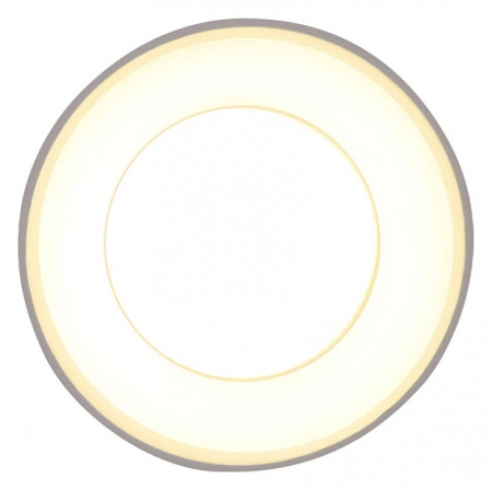 Накладной светильник Ambrella Light TN TN3411