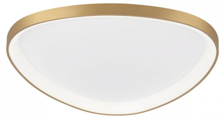 Накладной светильник Citilux GENKA SMART CL756A162