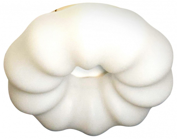 Накладной светильник Zortes Soft ZRS.1118.2