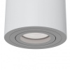 Накладной светильник Maytoni Technical Атом C016CL-01W