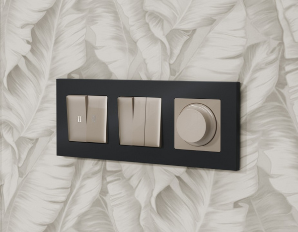 Выключатель двухклавишный с подсветкой без рамки Ambrella Volt Quant MA364015