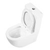 Унитаз-компакт безободковый BelBagno AMANDA BB051CPR
