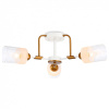 Потолочная люстра Ambrella Light TR TR303321