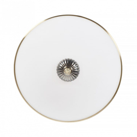 Накладной светильник MyFar Ceiling MR1527-3C