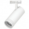 Светильник на штанге Lightstar Canno Pro C4206SS