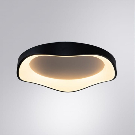 Накладной светильник Arte Lamp ANKAA A3085PL-56BK