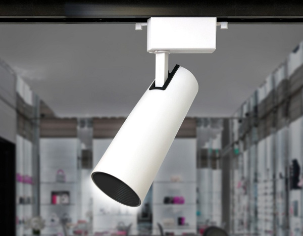 Светильник на штанге Ambrella Light GL GL5853