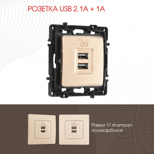 Розетка USB без рамки Arte Milano am-217 217.46-1.shampan