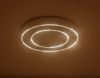 Накладной светильник Ambrella Light FL FL5821