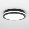 Накладной светильник Citilux LUNS CL711011V