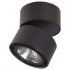 Накладной светильник Lightstar Forte Muro 213837