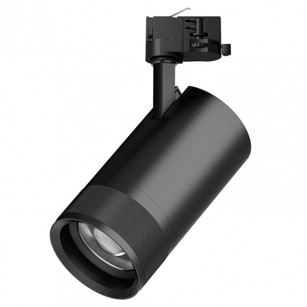 Светильник на штанге Lightstar Canno Pro C4407QT