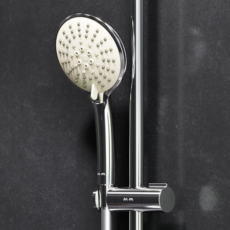 Душевая лейка Am.Pm Bliss F0253100