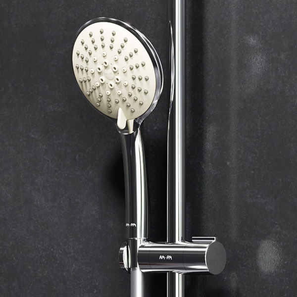 Душевая лейка Am.Pm Bliss F0253100