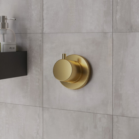 Переключатель Paini Cox 78PJ425 золото матовое