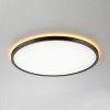 Накладной светильник Citilux NORMA CL749401