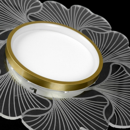 Накладной светильник Lussole Benton LSP-7340