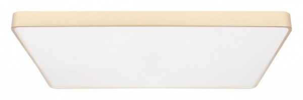 Накладной светильник Loft it Flims 10228/E