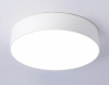 Накладной светильник Ambrella Light FV FV5520
