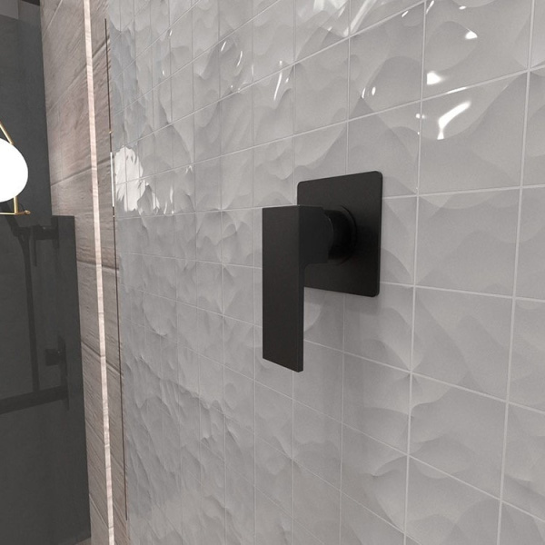 Смеситель для душа Paini Grazia 21PZ690 черный матовый