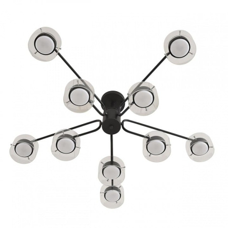 Люстра на штанге Lumion NATALINA 8349/10C