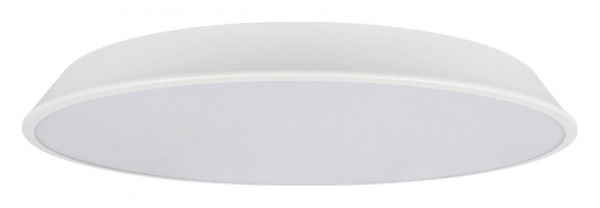 Накладной светильник Loft it Brim 10226 White