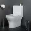 Унитаз-моноблок BelBagno Lounge BB8618CPR-MN/SC