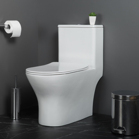 Унитаз-моноблок BelBagno Lounge BB8618CPR-MN/SC