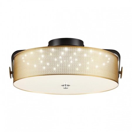 Накладной светильник Lumion Drumy 6597/40L