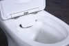 Чаша для унитаза-компакта BelBagno Steam BB130CPR безободковая