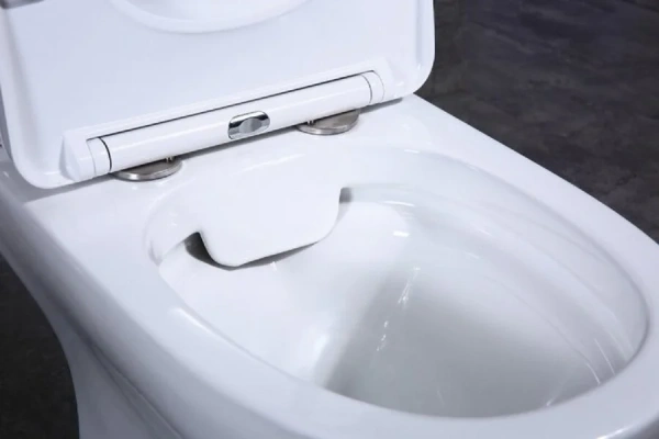Чаша для унитаза-компакта BelBagno Steam BB130CPR безободковая