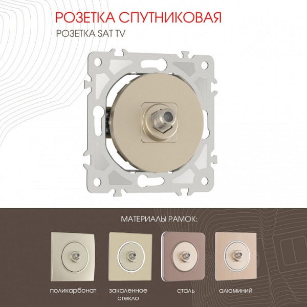 ТВ-розетка без рамки Arte Milano am-202 202.42-1.shampan