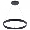 Подвесной светильник Arte Lamp Lao A2189LM-1BK