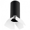 Накладной светильник Lightstar Rullo R487436