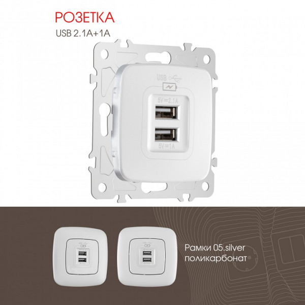 Розетка USB без рамки Arte Milano am-205 205.46-1.silver