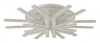 Потолочная люстра Lumion Alberta 8029/95CL