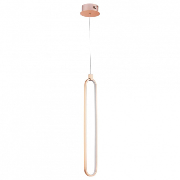 Подвесной светильник Maytoni Chain MOD017PL-L13G