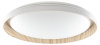 Накладной светильник Citilux MEGA CL752452G