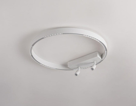 Накладной светильник Ambrella Light FL FL5807