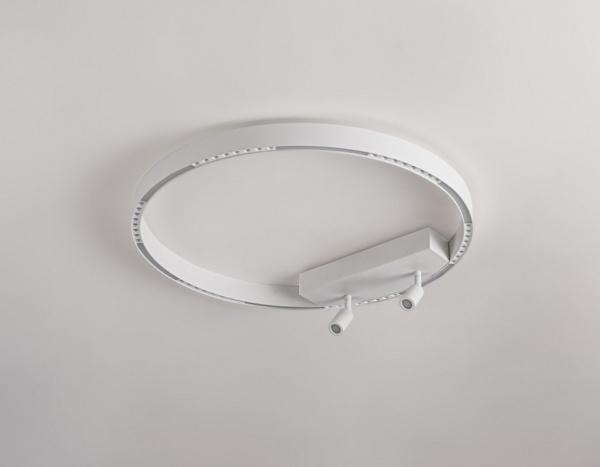 Накладной светильник Ambrella Light FL FL5807