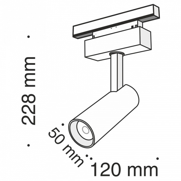 Светильник на штанге Maytoni Technical Фокус TR019-2-10W3K-B