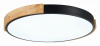 Накладной светильник EVOLUCE Delia SLE201342-01