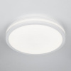 Накладной светильник Citilux LUNS CL711020V