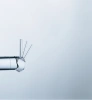 Смеситель для кухни Grohe Minta 31375000 хром