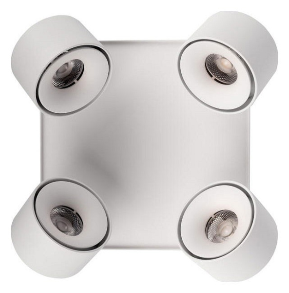 Спот Loft it Case 10326 White